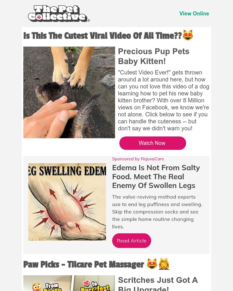 Screenshot of email with subject /media/emails/is-this-the-cutest-viral-video-of-all-time-8c4193-cropped-aa51bd04.jpg