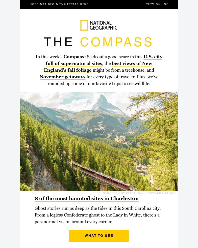 Screenshot of email with subject /media/emails/is-this-the-spookiest-us-city-new-englands-best-treehouses-wildlife-trips-we-love_EGVCko7.jpg