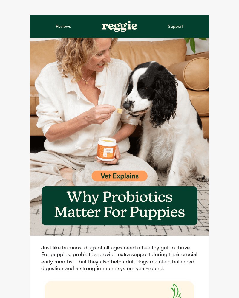 Screenshot of email with subject /media/emails/is-your-dog-getting-enough-probiotics-77a370-cropped-f20ee831.jpg
