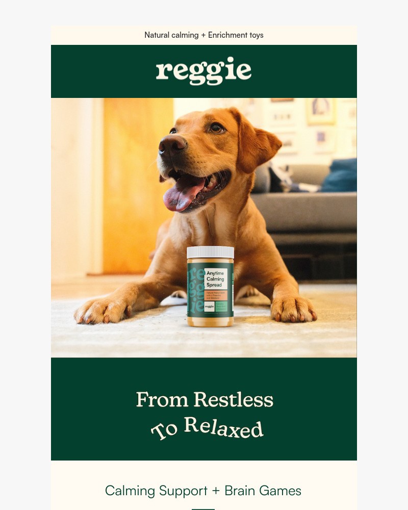 Screenshot of email with subject /media/emails/is-your-dog-more-anxious-lately-fee6f5-cropped-31570439.jpg