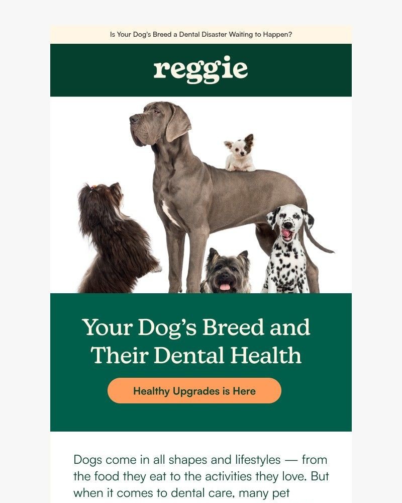 Screenshot of email with subject /media/emails/is-your-dogs-breed-a-dental-disaster-waiting-to-happen-19171a-cropped-e62dd593.jpg