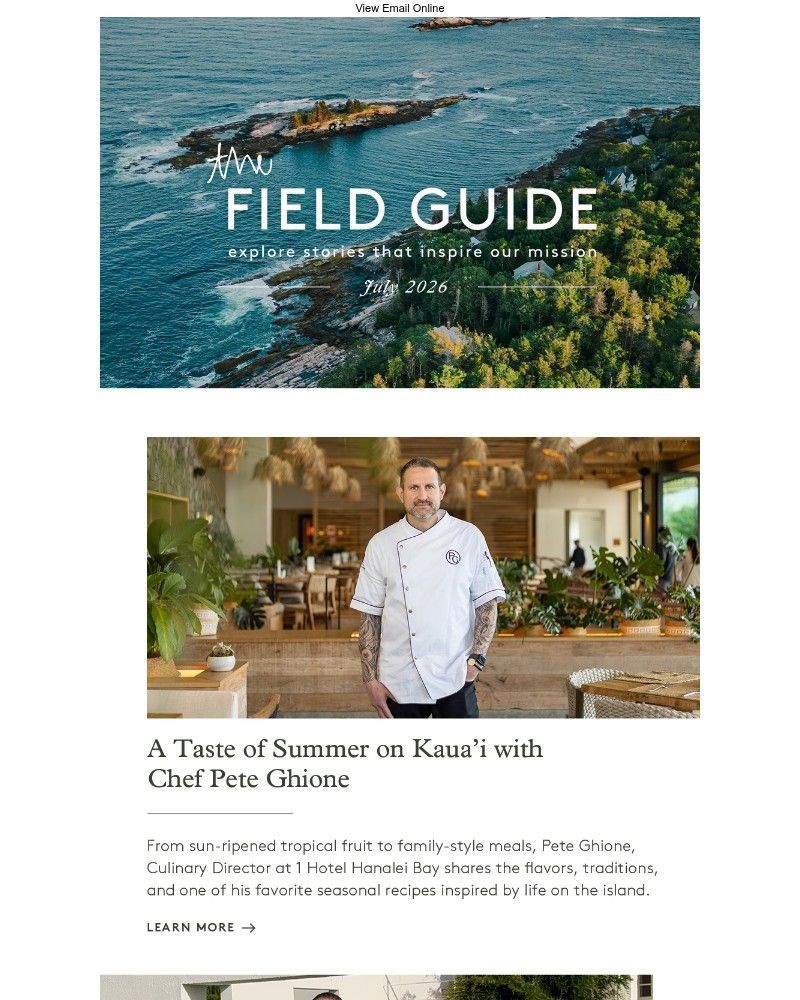 Screenshot of email sent to a 1 Hotels Newsletter subscriber