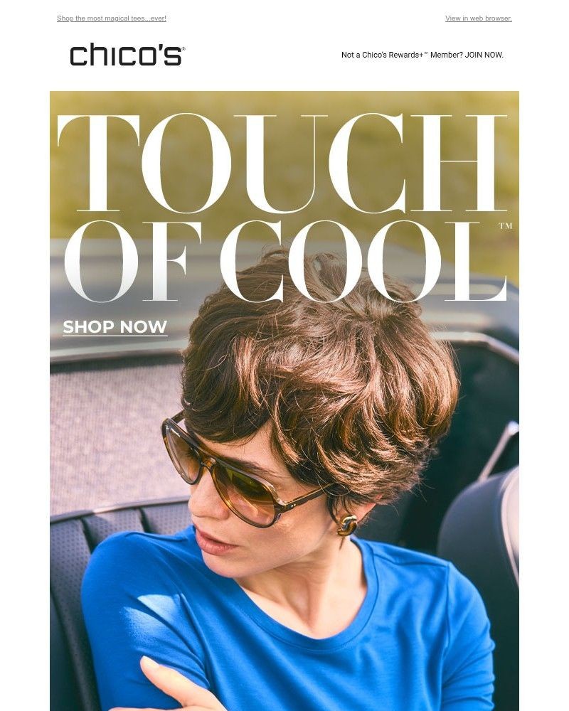 Screenshot of email with subject /media/emails/it-doesnt-get-cooler-than-touch-of-cooltm-e8c1ea-cropped-35e8afbe.jpg