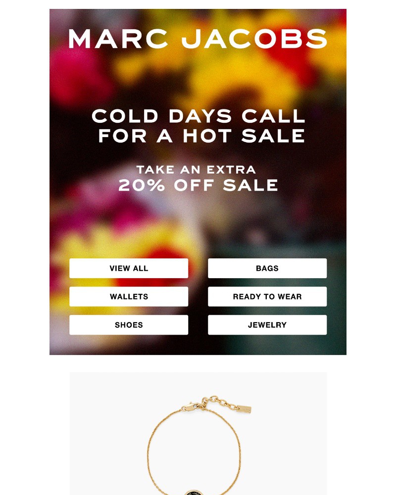 Screenshot of email with subject /media/emails/it-may-be-cold-today-but-inside-theres-a-hot-sale-186a64-cropped-584aaa1e.jpg