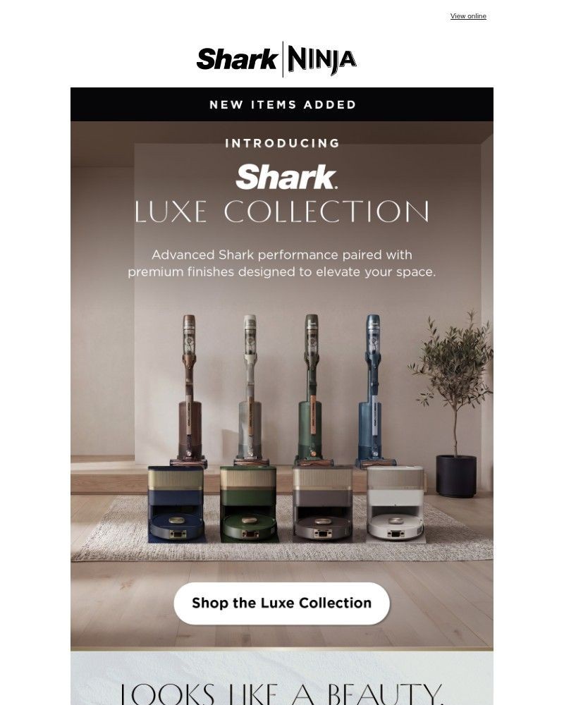 Screenshot of email sent to a Shark Newsletter subscriber