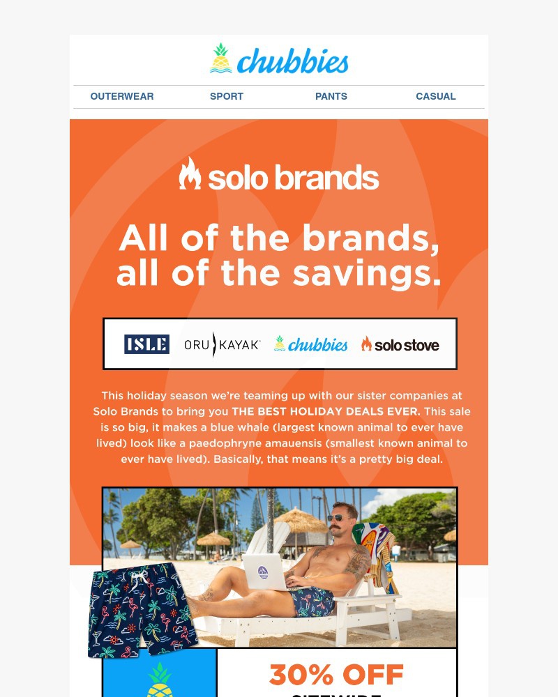 Screenshot of email with subject /media/emails/its-a-solo-brands-sale-a24719-cropped-c1f4633a.jpg