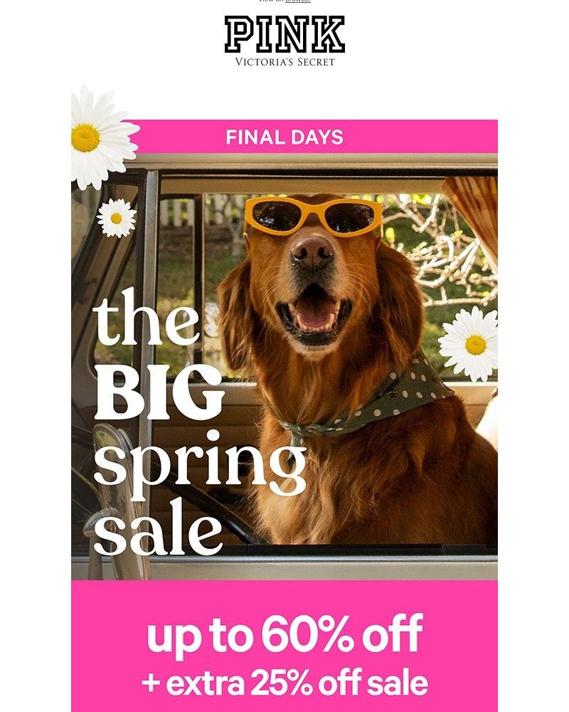 Screenshot of email with subject /media/emails/its-almost-over-60-off-25-off-22a682-cropped-36862792.jpg