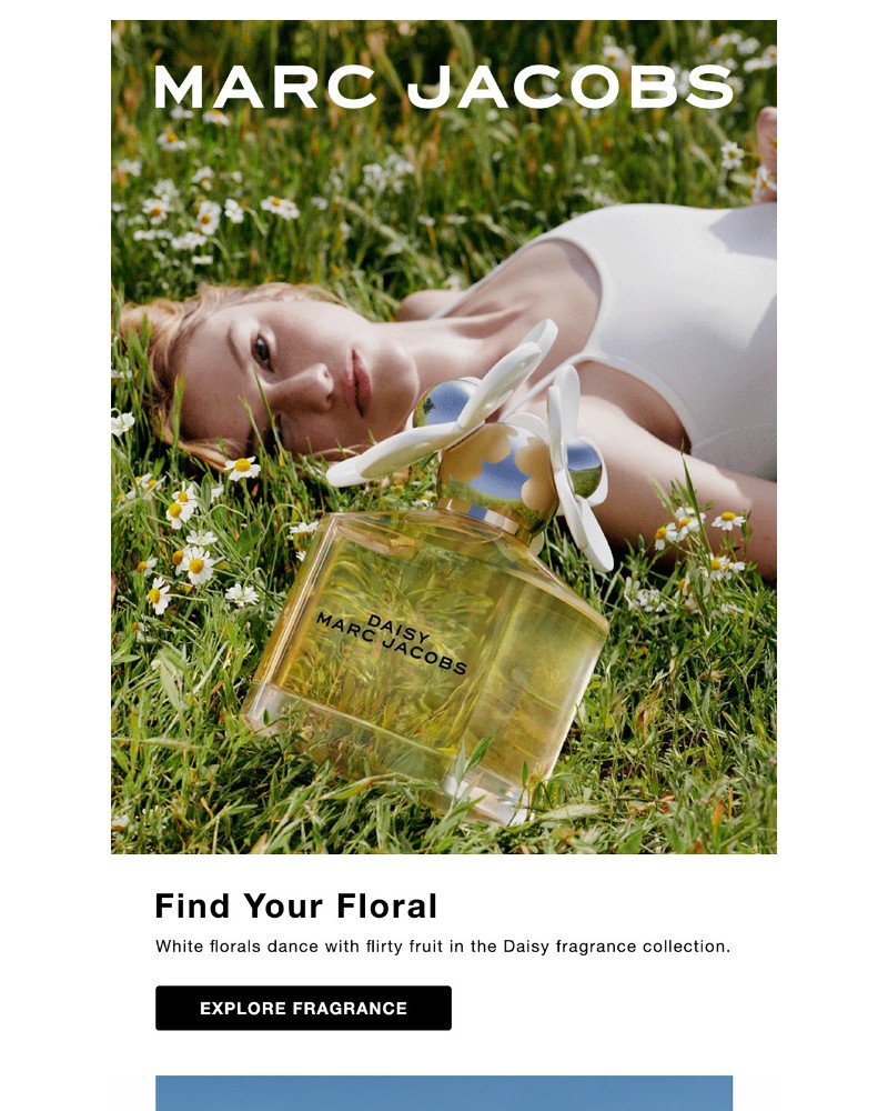 Screenshot of email with subject /media/emails/its-always-daisy-season-here-5f9adb-cropped-8098ff5c.jpg