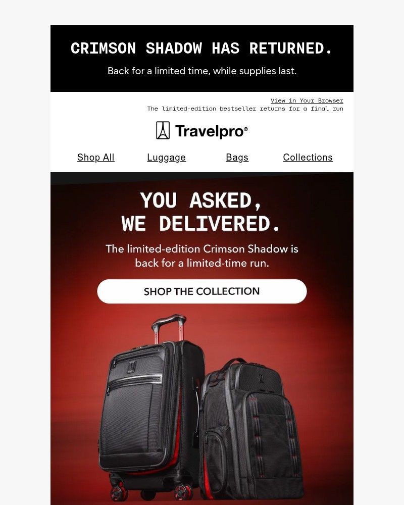 Screenshot of email sent to a Travelpro Newsletter subscriber