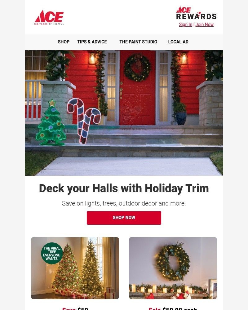 Screenshot of email sent to a Ace Hardware Newsletter subscriber