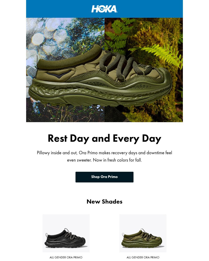 Screenshot of email with subject /media/emails/its-cozy-season-8fd5ac-cropped-912bd6e3.jpg
