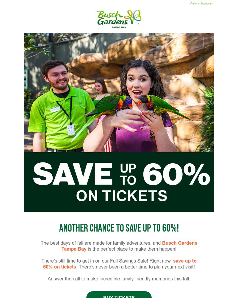 Screenshot of email with subject /media/emails/its-fall-savings-lives-on-save-up-to-60-on-tickets-9c3bdf-cropped-f8e00628.jpg