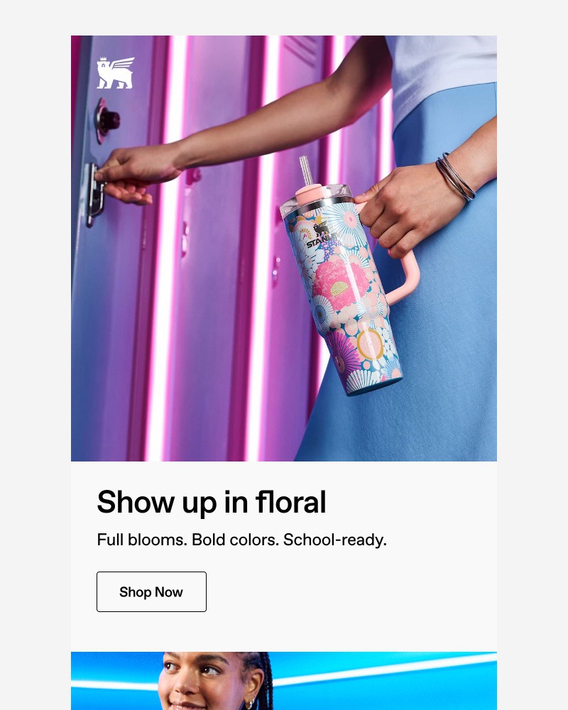 Screenshot of email with subject /media/emails/its-giving-cottagecore-93a67b-cropped-623af34a.jpg