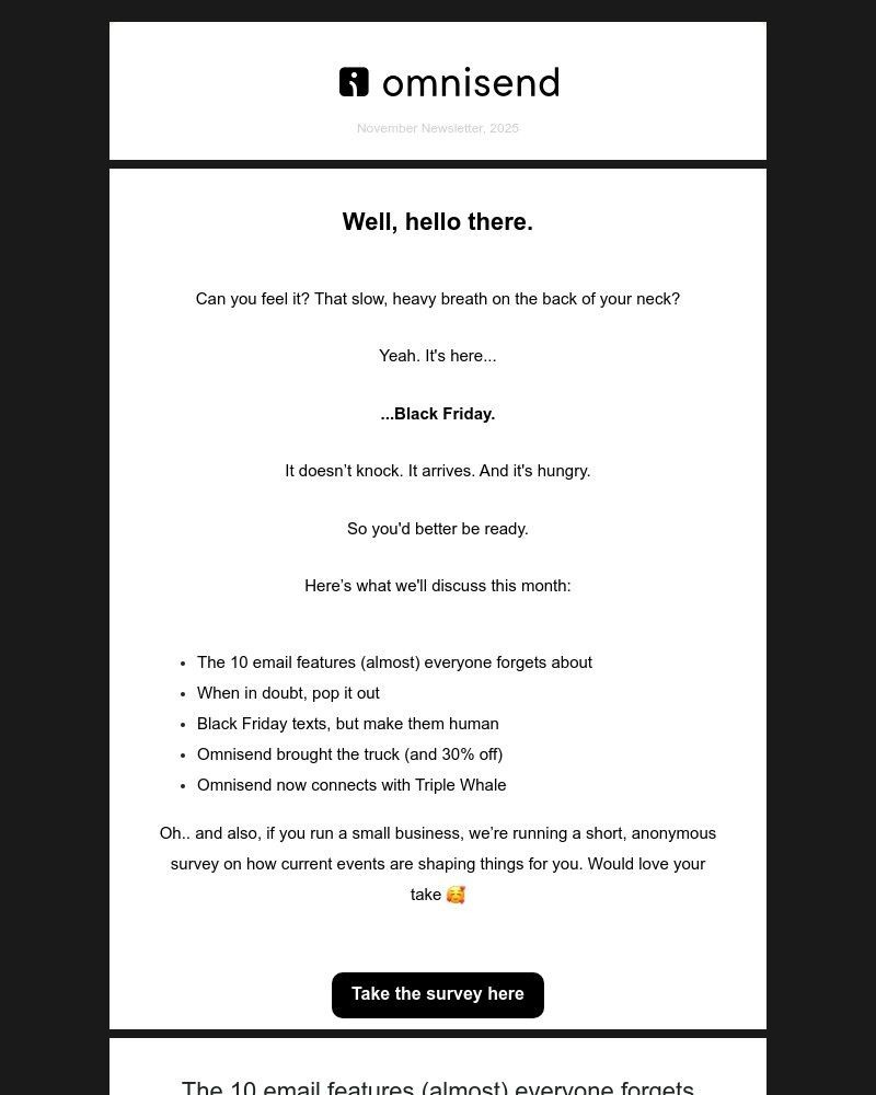 Screenshot of email sent to a omnisend Newsletter subscriber