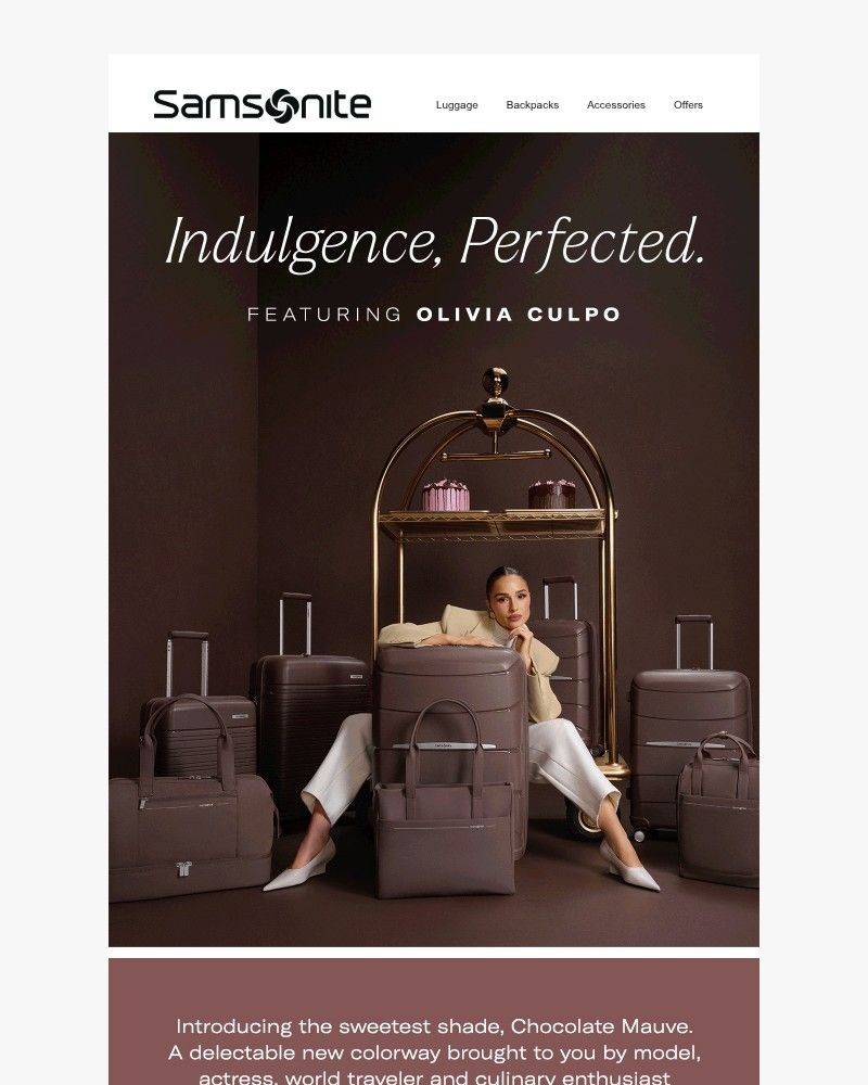 Screenshot of email sent to a Samsonite Newsletter subscriber