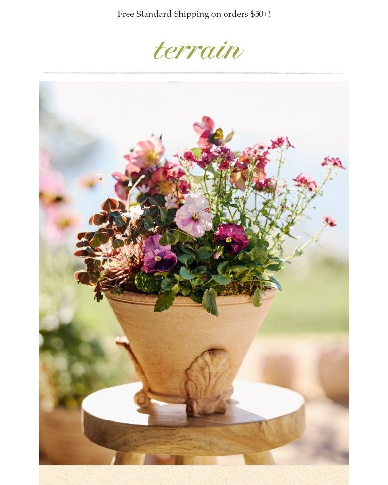 Screenshot of email sent to a Terrain Newsletter subscriber