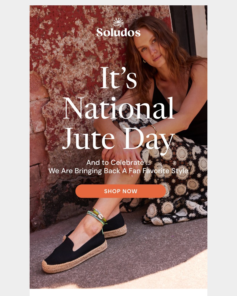 Screenshot of email sent to a Soludos Registered user