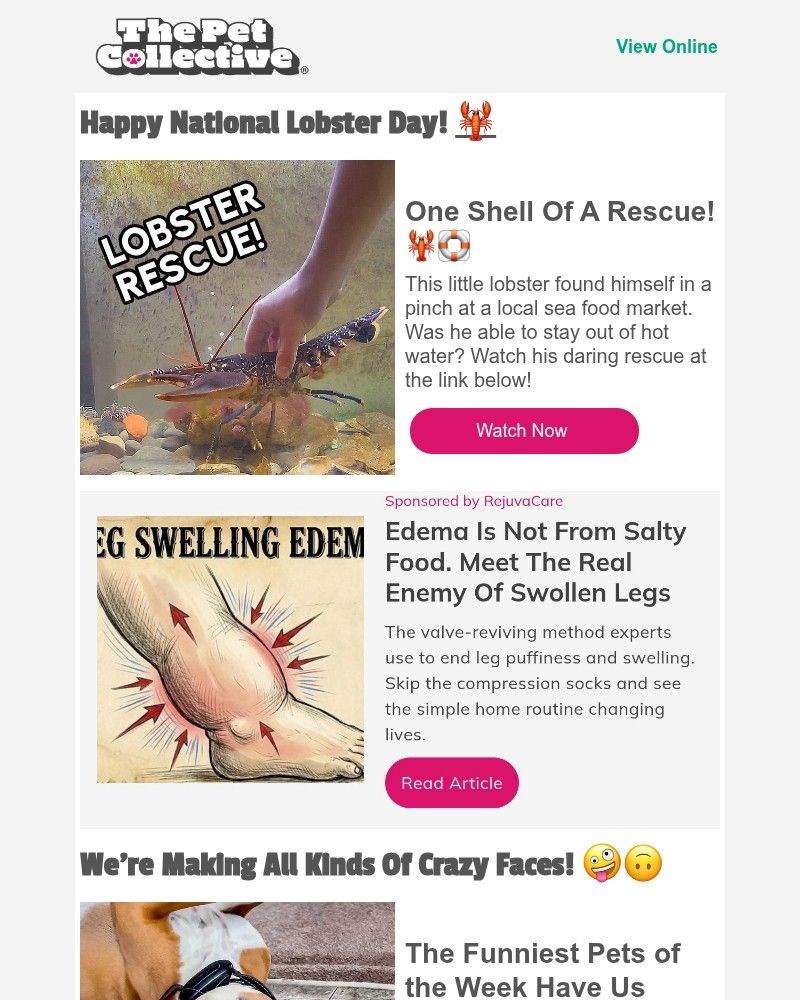 Screenshot of email with subject /media/emails/its-national-lobster-day-yes-thats-a-thing-5fddb4-cropped-b248819e.jpg