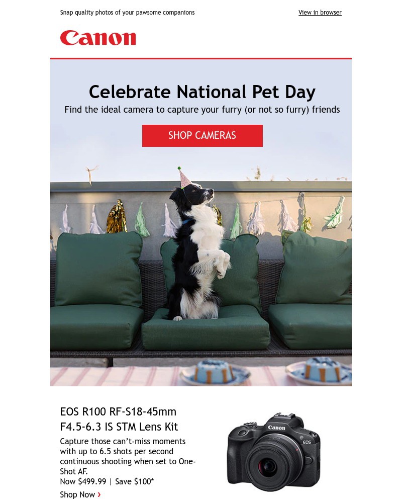 Screenshot of email with subject /media/emails/its-national-pet-day-47ddf8-cropped-d1dec39d.jpg