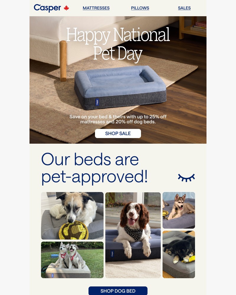 Screenshot of email sent to a Casper Newsletter subscriber