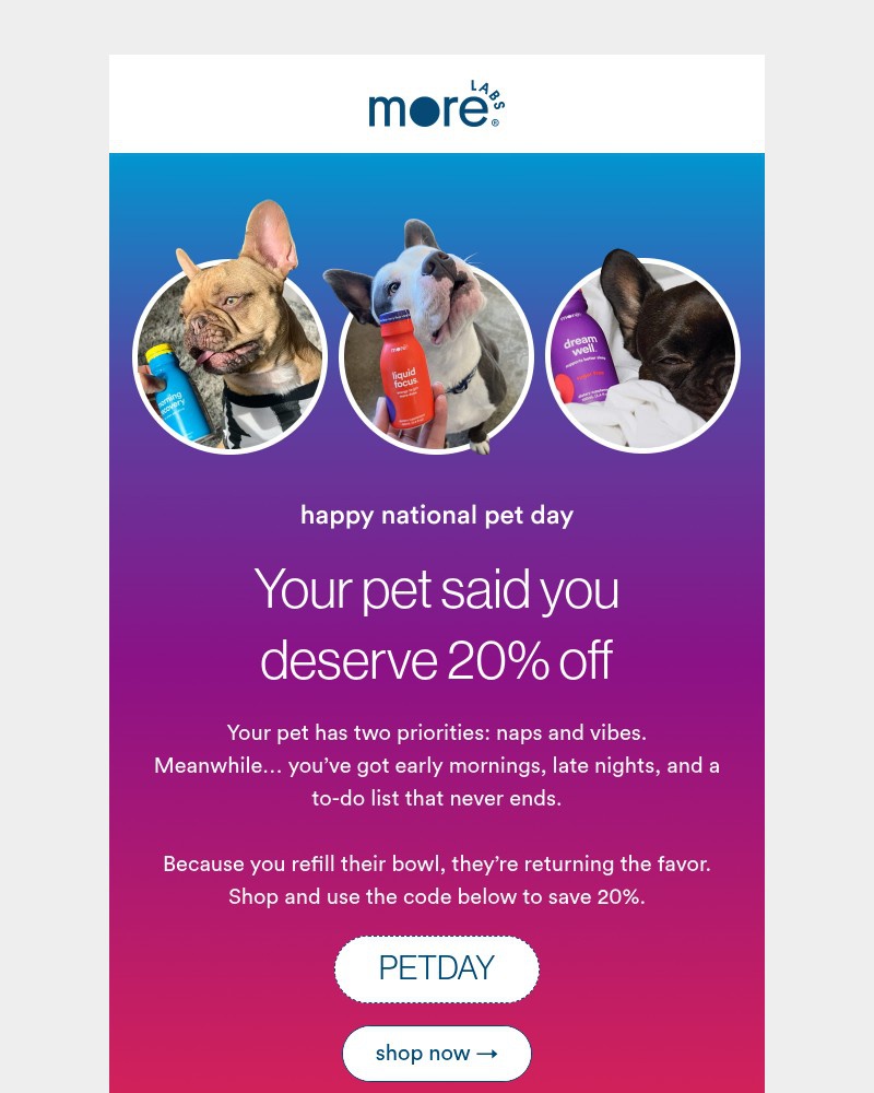 Screenshot of email sent to a Morning Recovery Newsletter subscriber