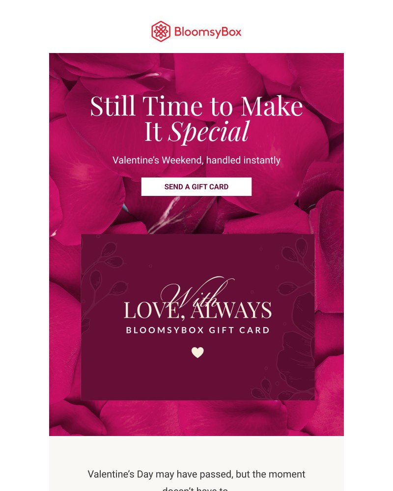 Screenshot of email sent to a Chococurb Newsletter subscriber