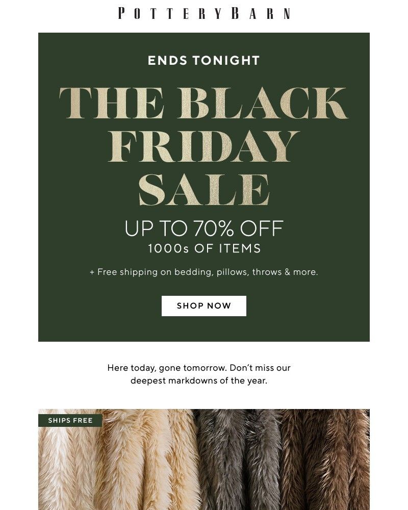 Screenshot of email with subject /media/emails/its-official-black-friday-ends-tonight-00c3ab-cropped-02a24de2.jpg