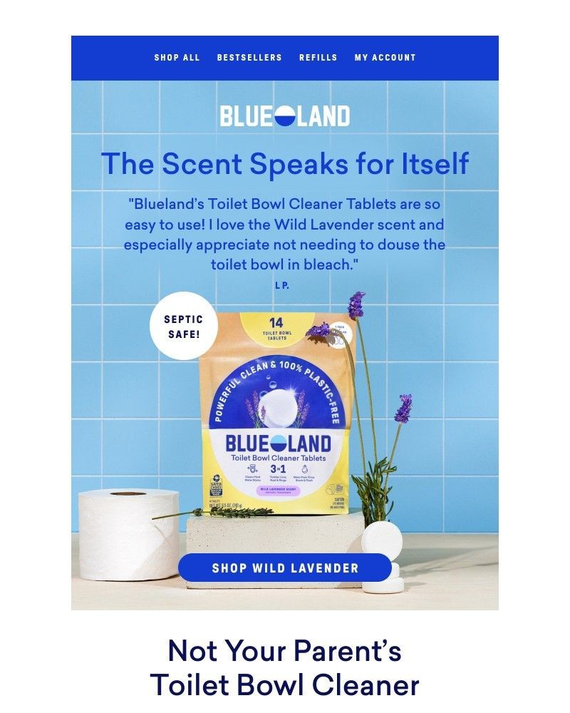 Screenshot of email sent to a Blueland Newsletter subscriber