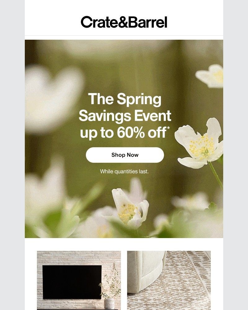 Screenshot of email with subject /media/emails/its-on-up-to-60-off-the-spring-savings-event-90214e-cropped-068dccf8.jpg