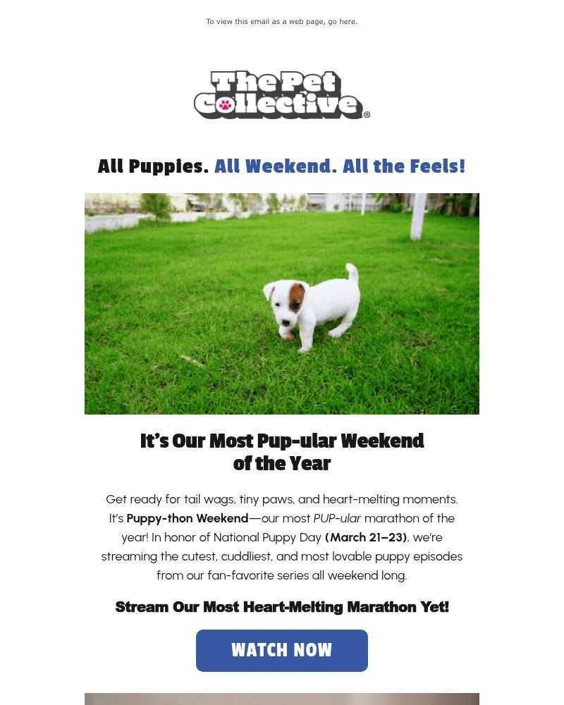 Screenshot of email with subject /media/emails/its-our-most-pup-ular-weekend-of-the-year-8d0ecf-cropped-10c7e963.jpg