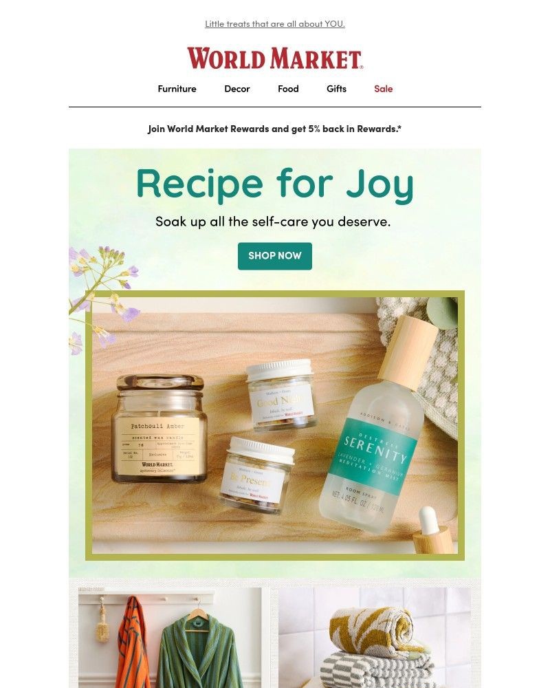 Screenshot of email with subject /media/emails/its-self-care-saturday-12d803-cropped-9ae538eb.jpg