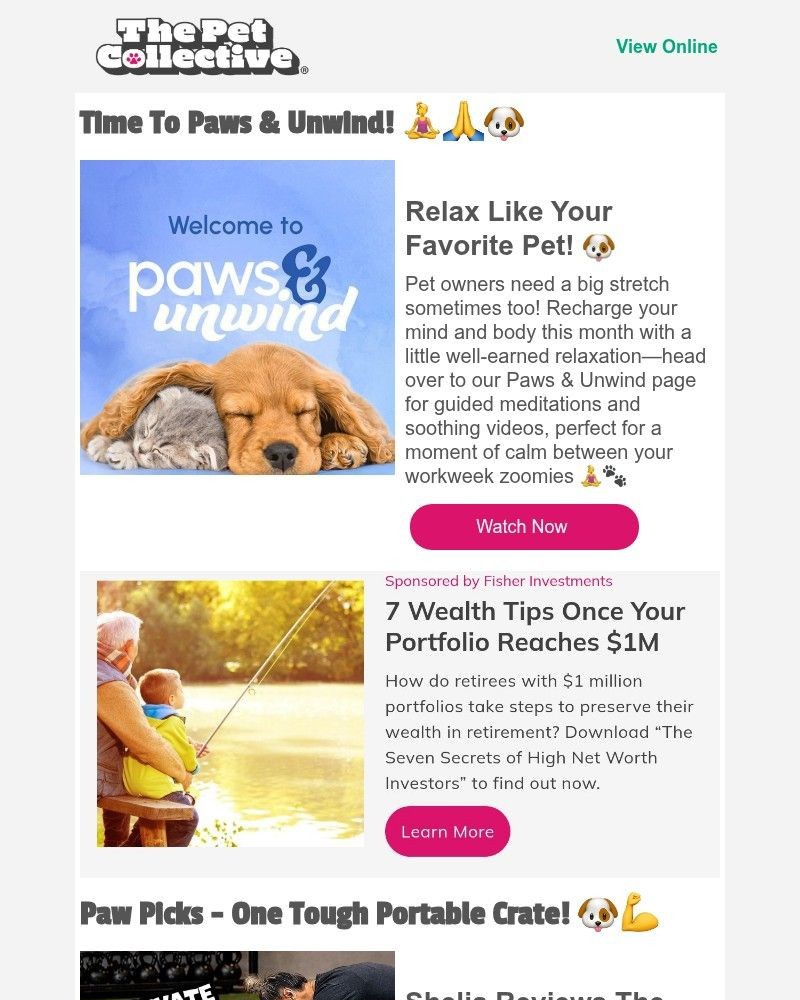 Screenshot of email with subject /media/emails/its-time-to-paws-unwind-f6ff92-cropped-f8e20a49.jpg