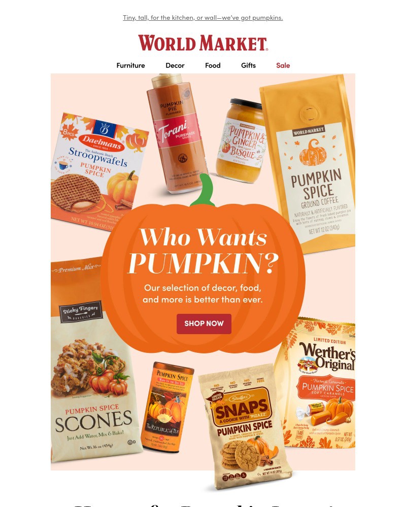 Screenshot of email with subject /media/emails/its-time-to-put-pumpkins-everywhere-6508c7-cropped-9cf15f78.jpg