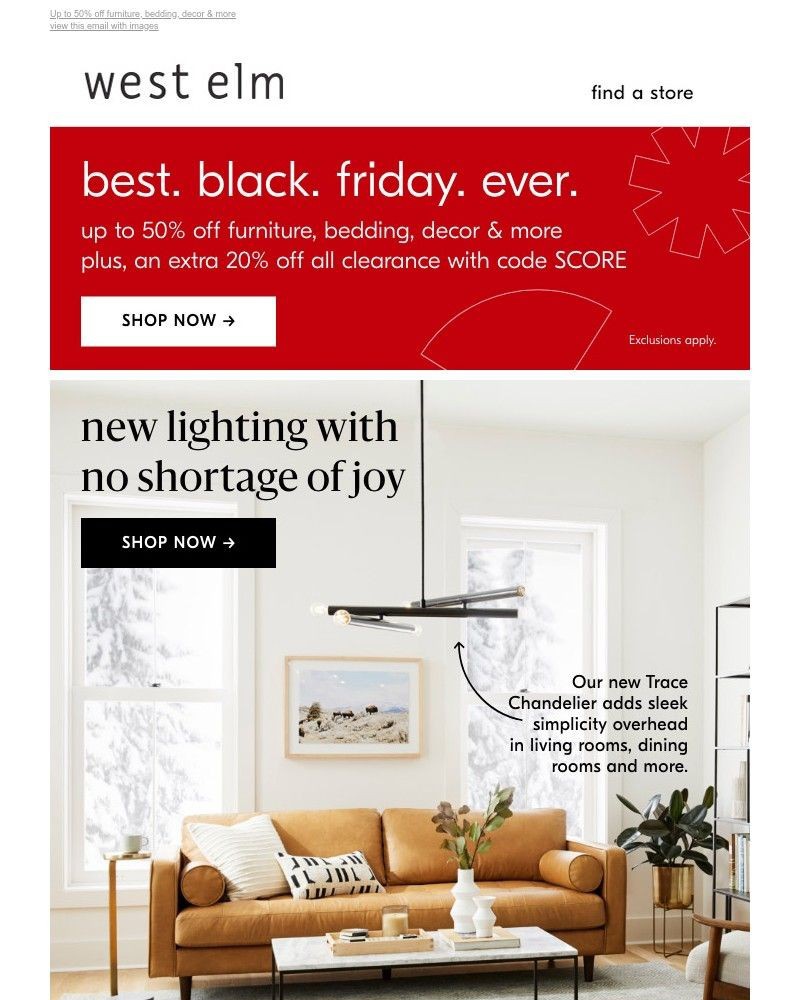 Screenshot of email with subject /media/emails/its-true-best-black-friday-ever-8b69fe-cropped-33ada68d.jpg