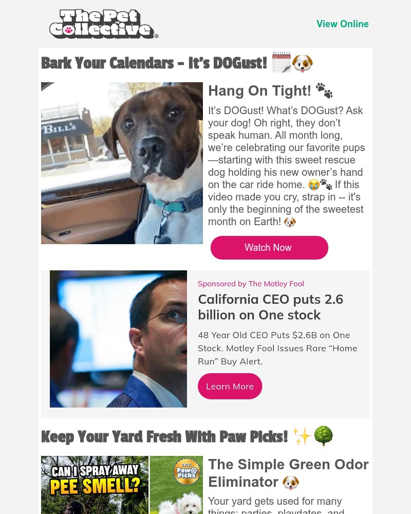 Screenshot of email sent to a Reader’s Digest Newsletter subscriber