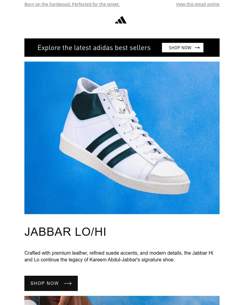 Screenshot of email with subject /media/emails/jabbar-lohi-6f7c3d-cropped-7f7d4604.jpg