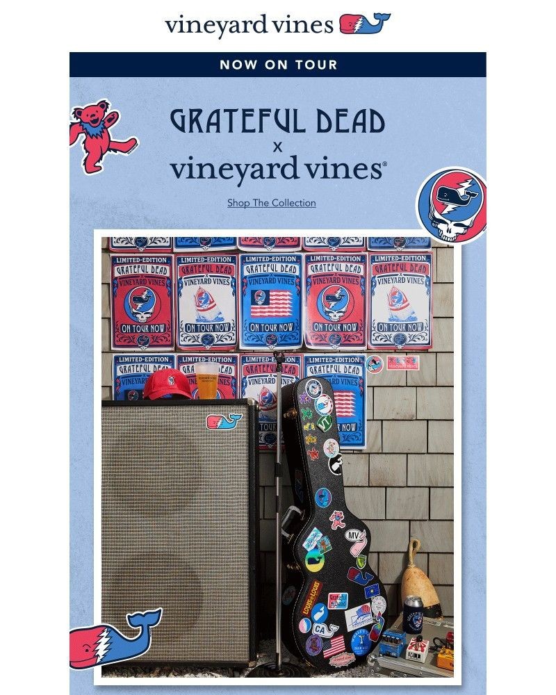 Screenshot of email sent to a Vineyard Vines Newsletter subscriber