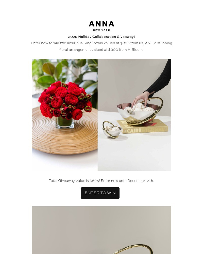 Screenshot of email with subject /media/emails/join-our-holiday-giveaway-381e6c-cropped-14e5e474.jpg