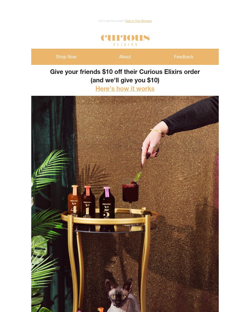 Screenshot of email with subject /media/emails/join-the-curious-rewards-program-287a97-cropped-95fb6e6d.jpg