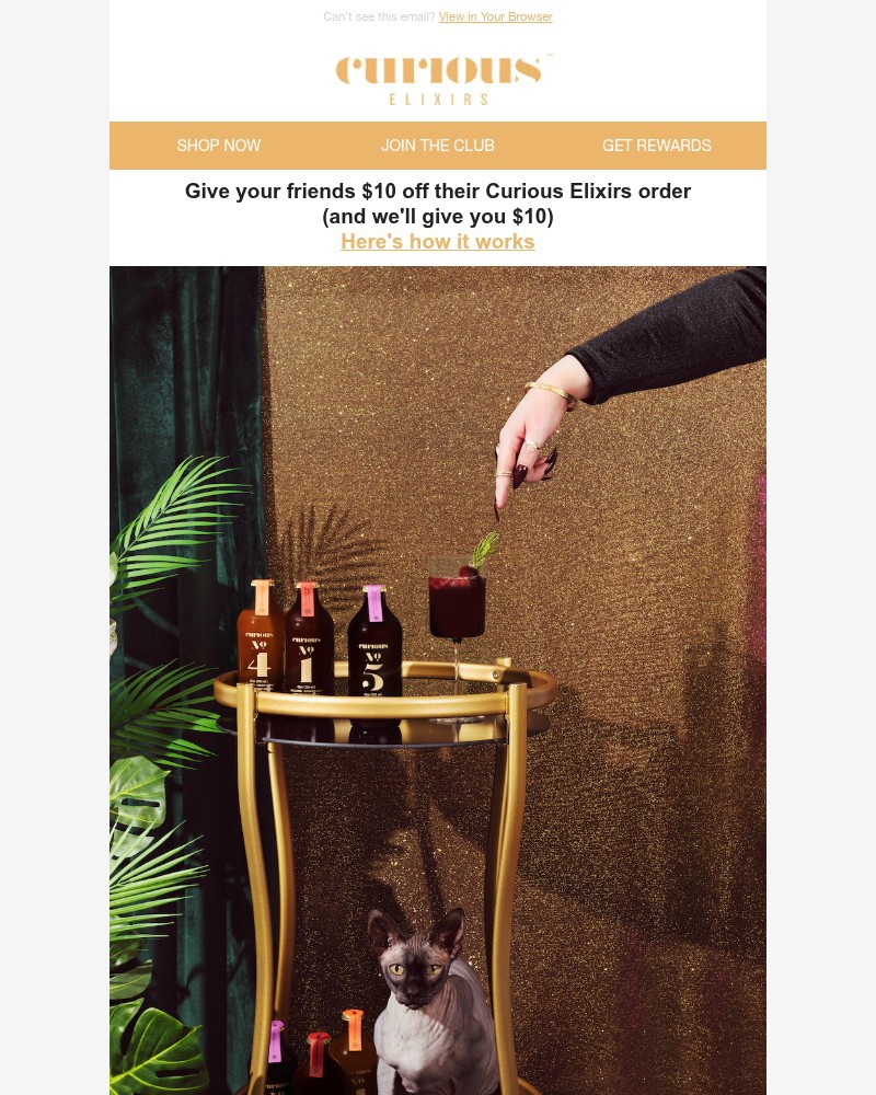 Screenshot of email with subject /media/emails/join-the-curious-rewards-program-b0820e-cropped-0ec6c37b.jpg