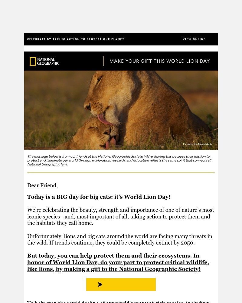 Screenshot of email with subject /media/emails/join-the-pride-for-world-lion-day-by-making-a-difference-220e7c-cropped-1e0f7add.jpg