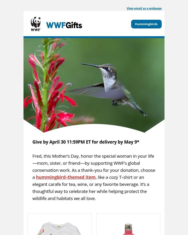 Screenshot of email sent to a World Wildlife Fund Newsletter subscriber