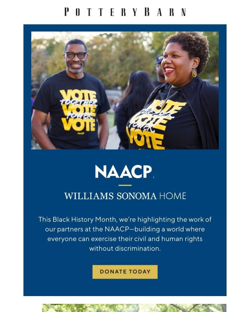 Screenshot of email with subject /media/emails/join-us-in-support-of-the-naacp-7fc28d-cropped-b6a1c4a0.jpg