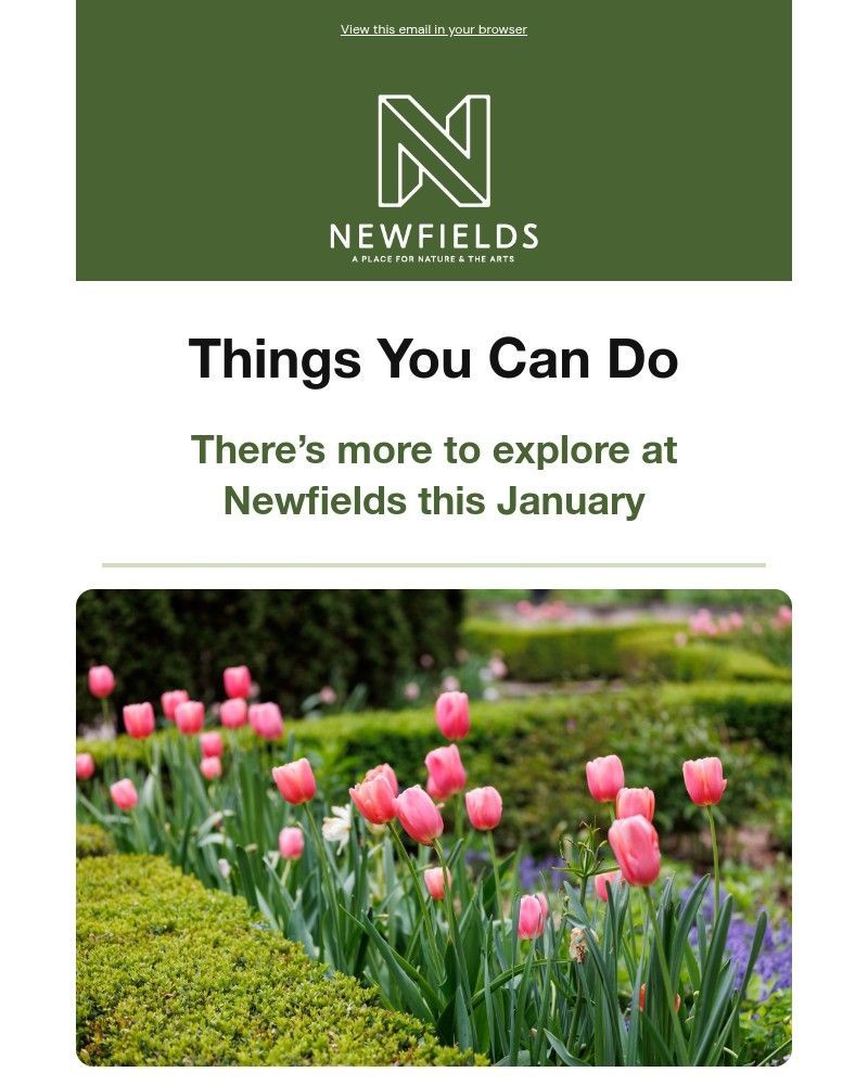 Screenshot of email with subject /media/emails/join-us-this-friday-for-the-winter-nights-film-series-resplendent-dreams-7c6bf8-c_sKMTXqS.jpg