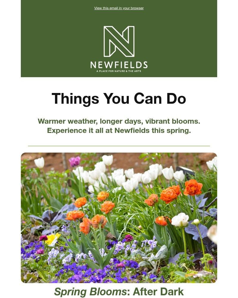 Screenshot of email sent to a Newfields Newsletter subscriber