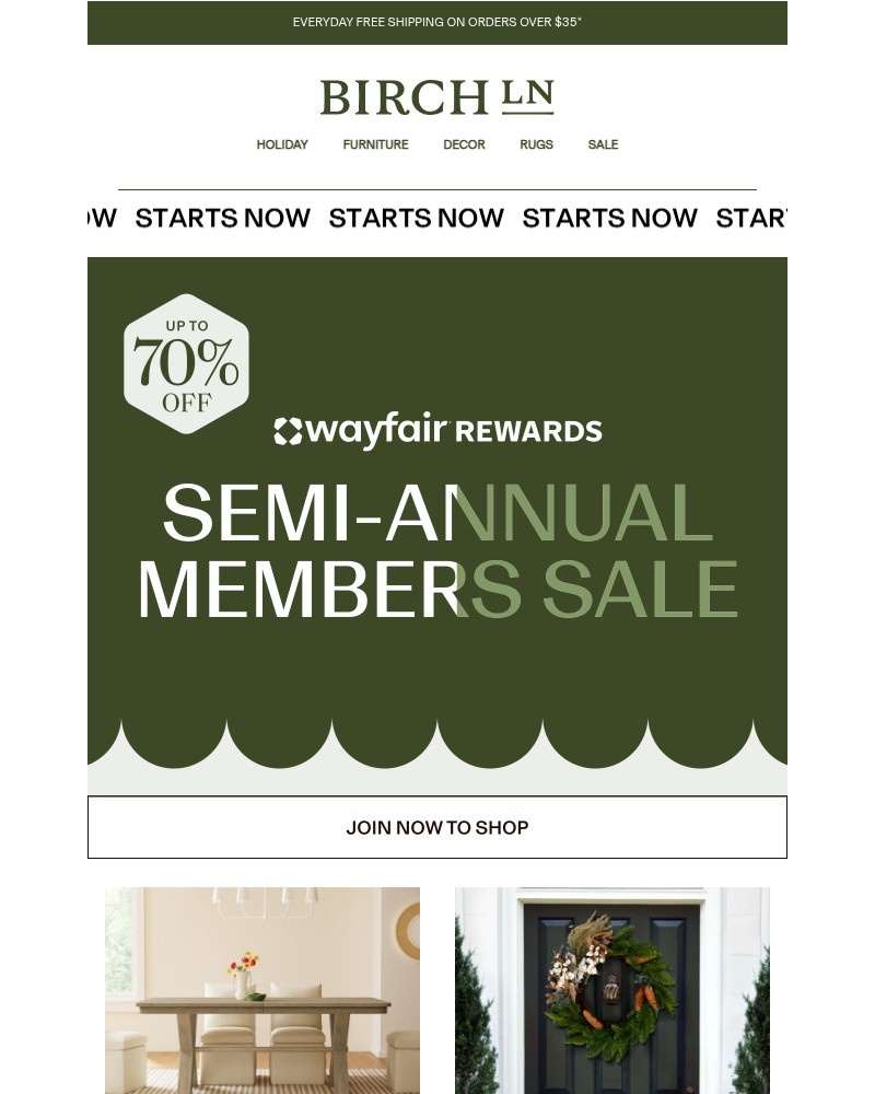 Screenshot of email with subject /media/emails/join-wayfair-rewards-to-shop-up-to-70-off-67dd0f-cropped-8c2b5f72.jpg