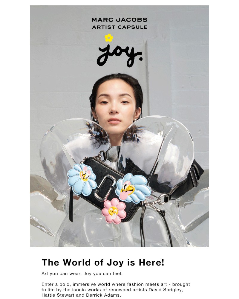 Screenshot of email with subject /media/emails/joy-wont-wait-get-it-before-its-gone-e15a73-cropped-be971e89.jpg