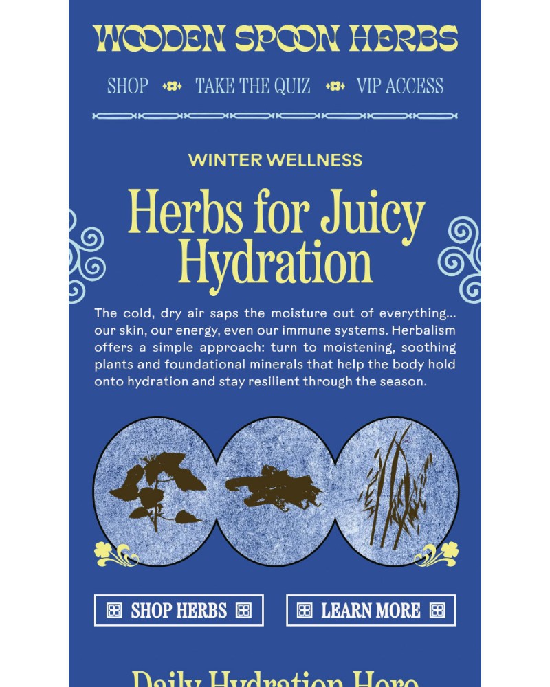 Screenshot of email with subject /media/emails/juicy-herbs-for-dry-winter-days-3ca36d-cropped-0b90e763.jpg