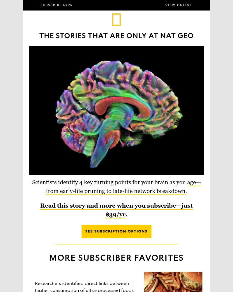 Screenshot of email with subject /media/emails/just-39yr-get-full-digital-access-to-stories-youll-only-find-at-nat-geo-1b7a74-cr_WPSOQrV.jpg