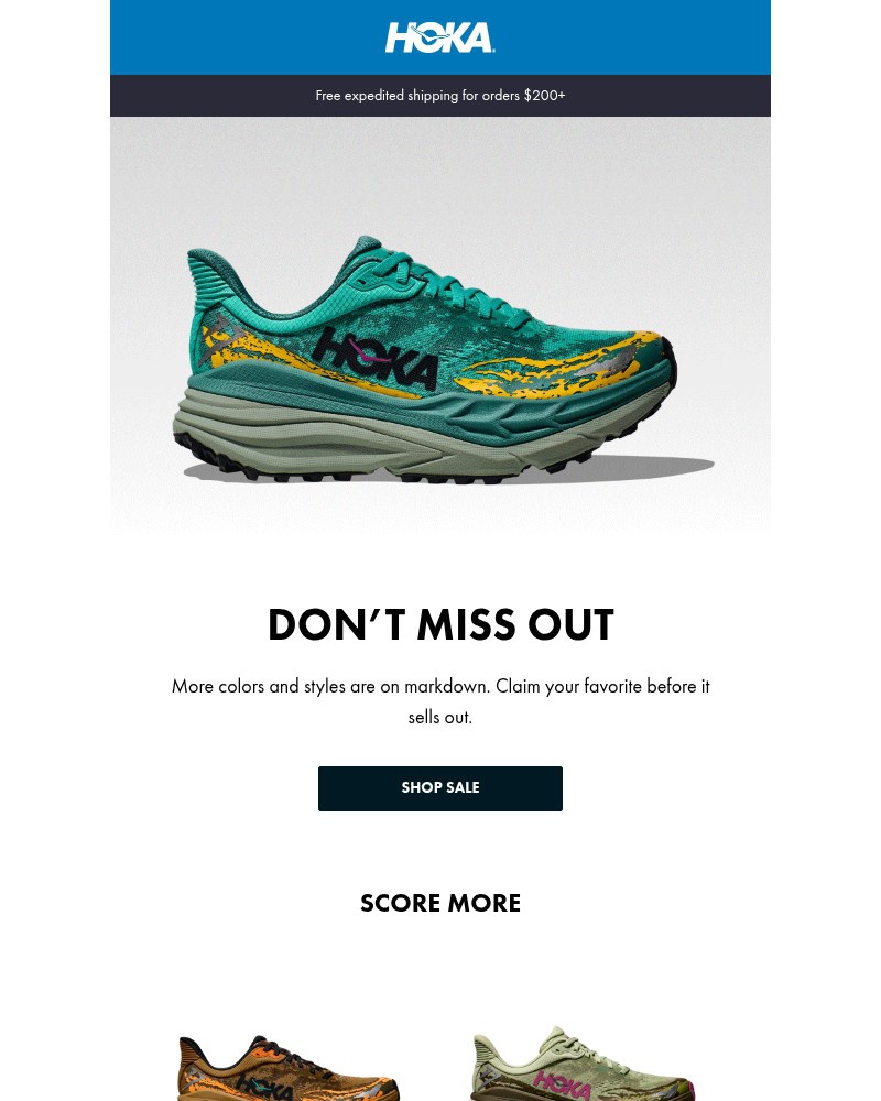 Screenshot of email with subject /media/emails/just-added-to-the-sale-e320e9-cropped-71c520e6.jpg